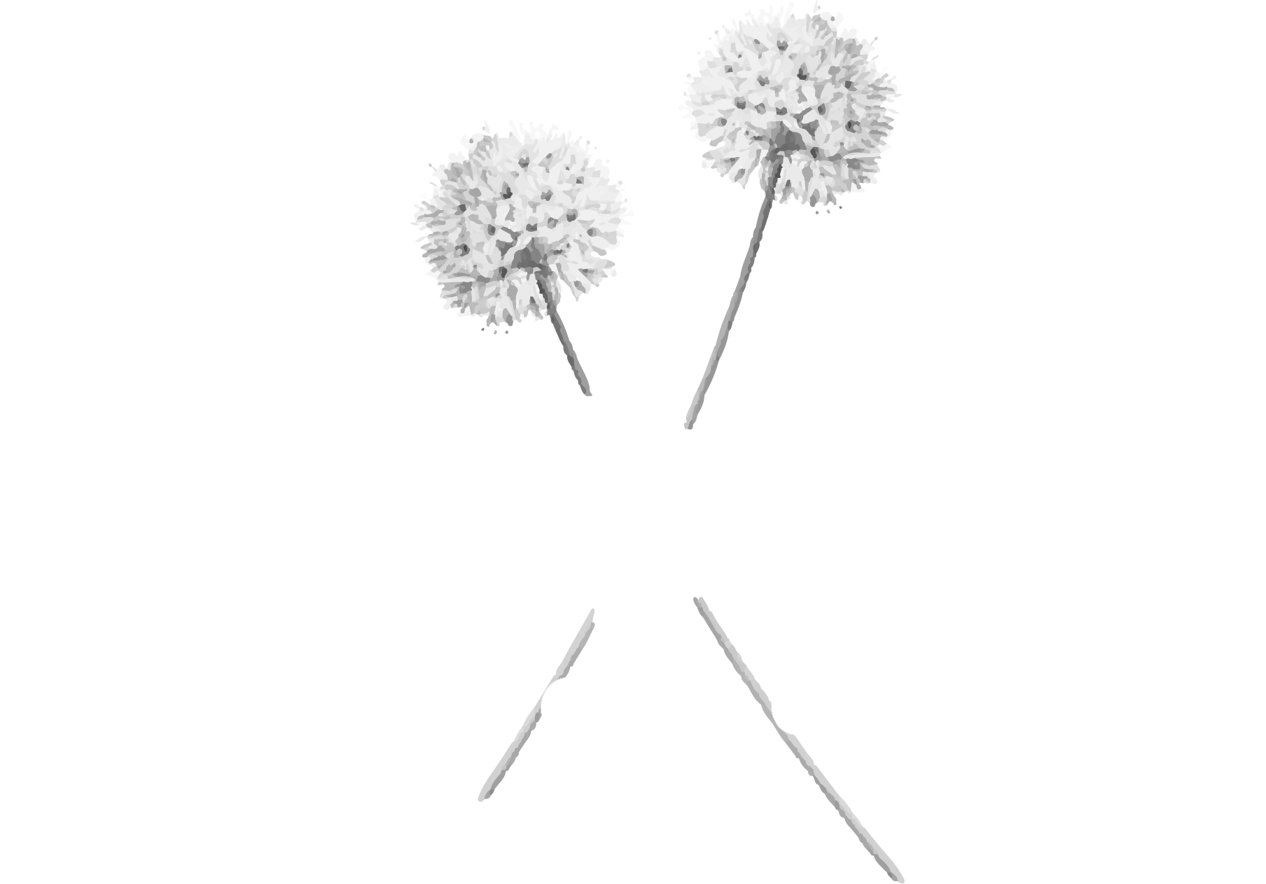 Marta de Miguel - Fotografía -